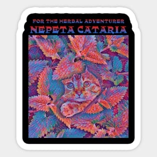 Cats on Catnip-psychedelic Sticker